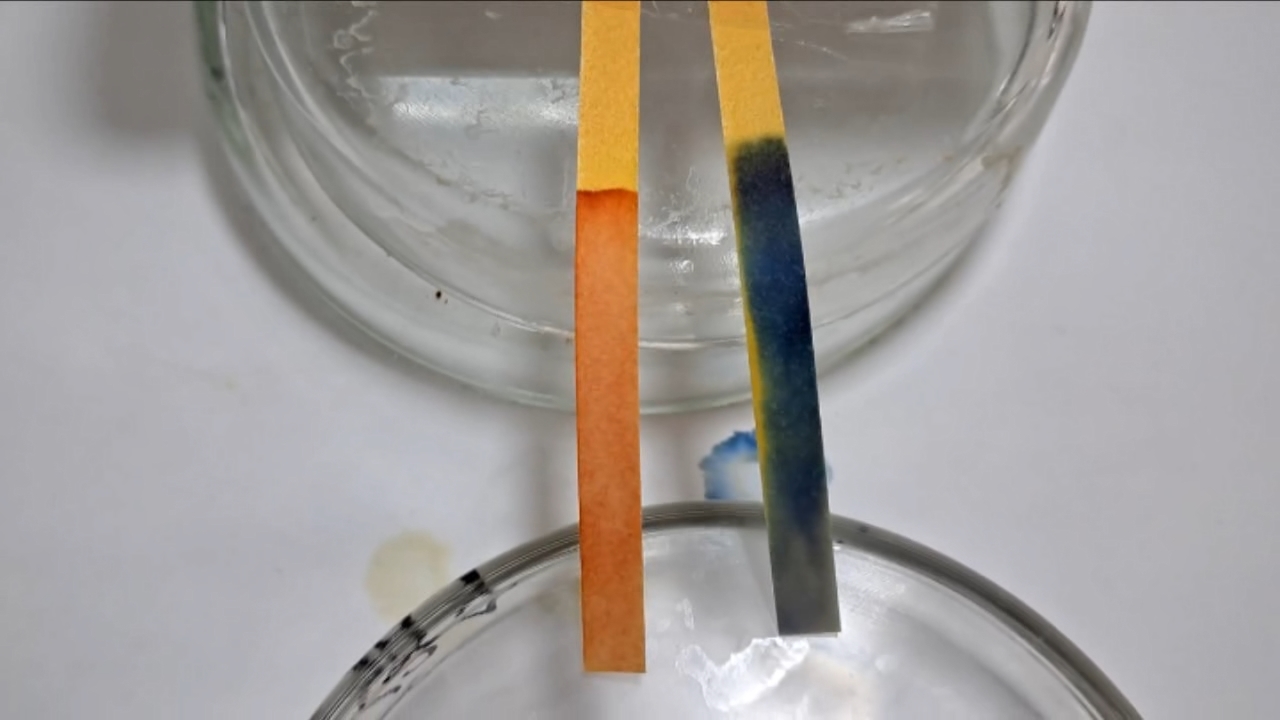 Universal Indicator Paper, Acetic Acid, and Ammonia