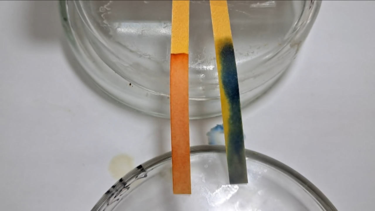 Universal Indicator Paper, Acetic Acid, and Ammonia