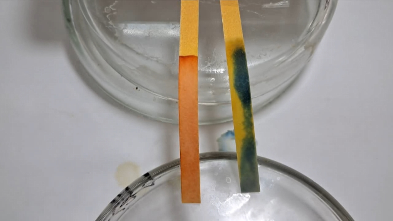 Universal Indicator Paper, Acetic Acid, and Ammonia