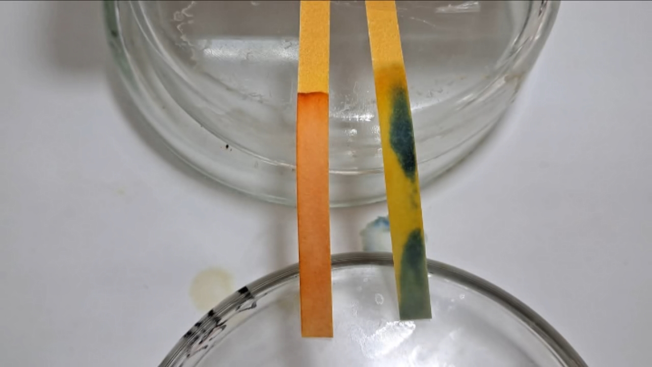 Universal Indicator Paper, Acetic Acid, and Ammonia