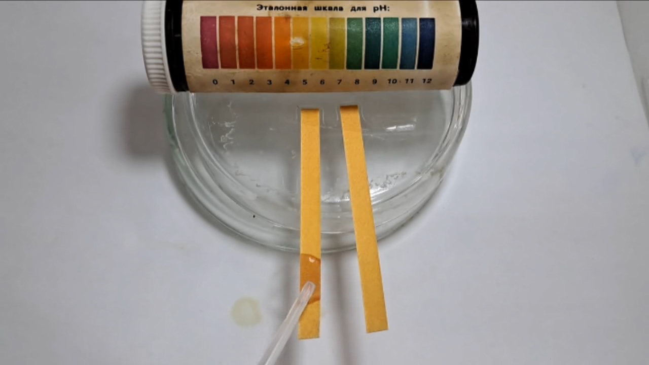 Universal Indicator Paper, Acetic Acid, and Ammonia