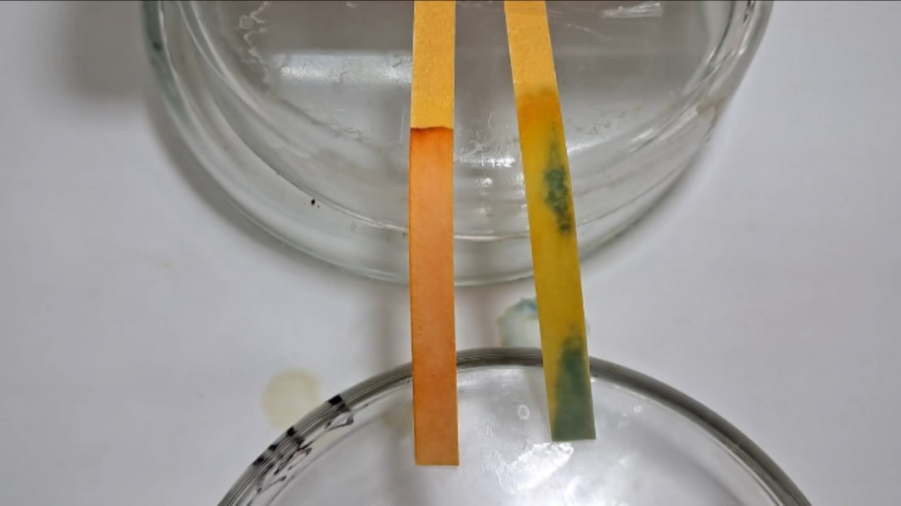 Universal Indicator Paper, Acetic Acid, and Ammonia