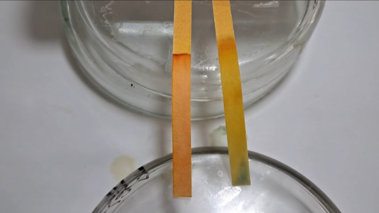 Universal Indicator Paper, Acetic Acid, and Ammonia