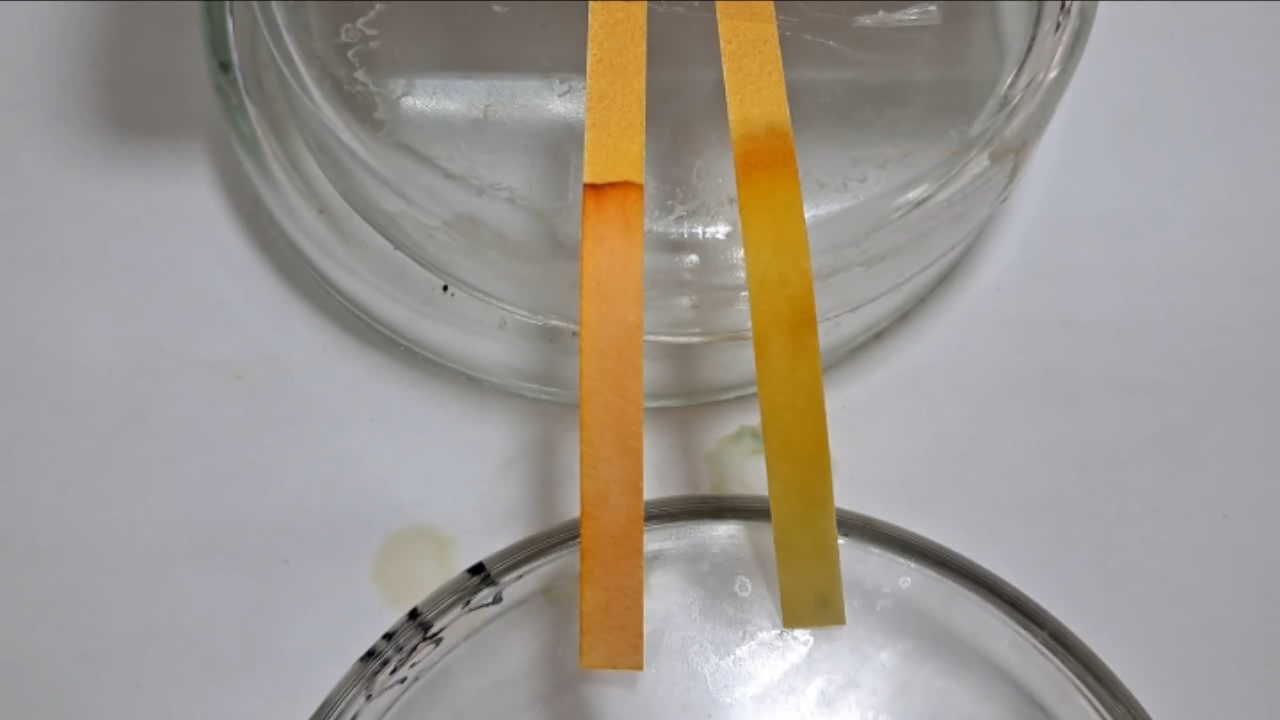 Universal Indicator Paper, Acetic Acid, and Ammonia