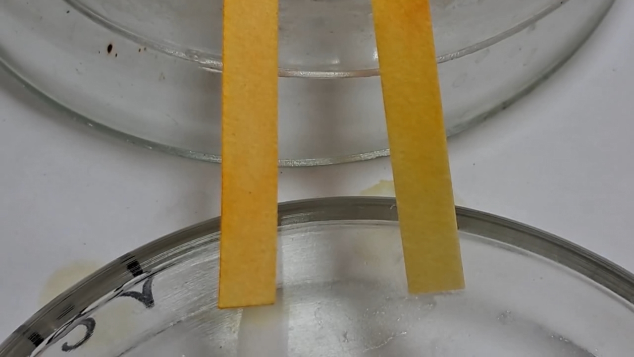 Universal Indicator Paper, Acetic Acid, and Ammonia