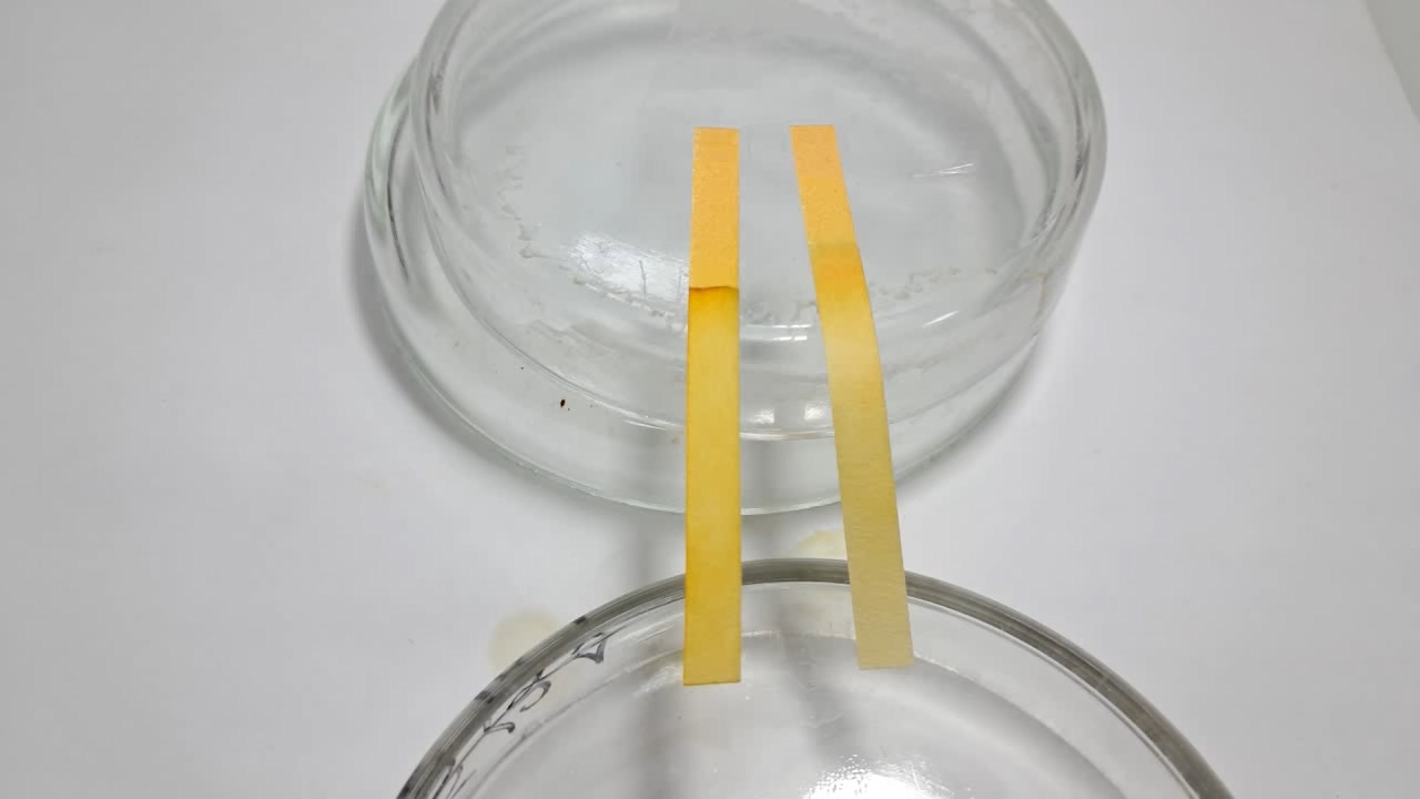 Universal Indicator Paper, Acetic Acid, and Ammonia