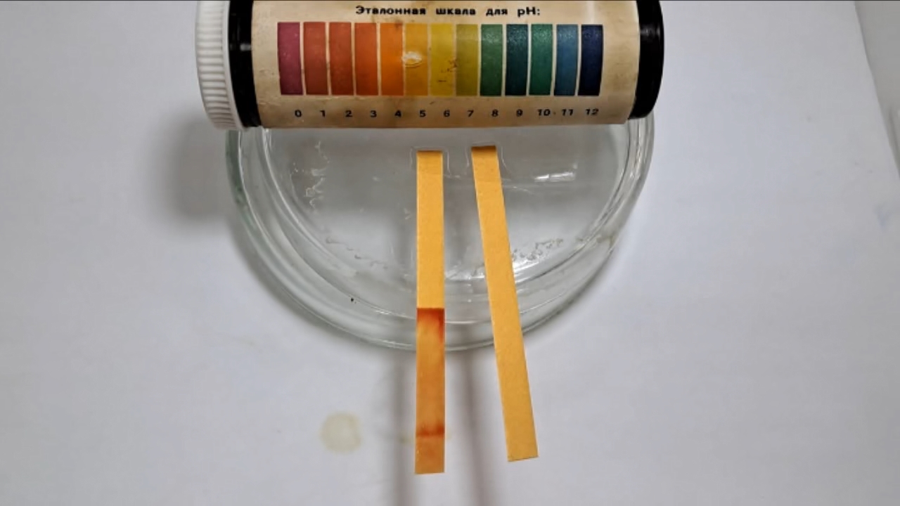 Universal Indicator Paper, Acetic Acid, and Ammonia