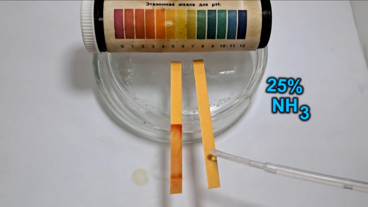 Universal Indicator Paper, Acetic Acid, and Ammonia