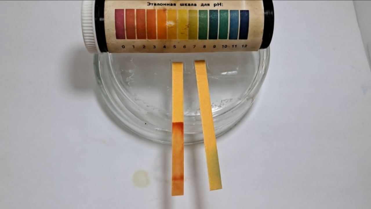 Universal Indicator Paper, Acetic Acid, and Ammonia