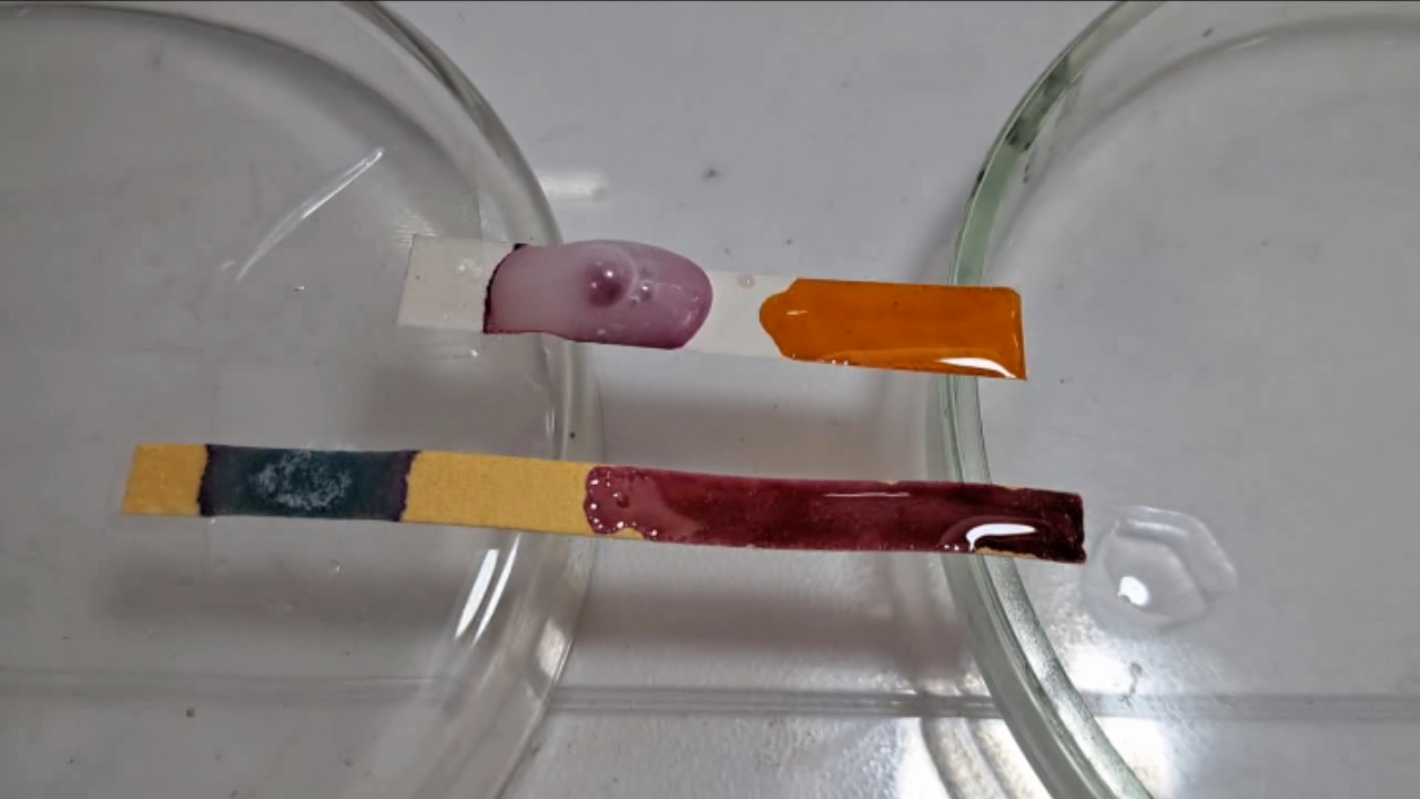 Universal Indicator, Phenolphthalein, Concentrated Sulfuric Acid, and Sodium Hydroxide