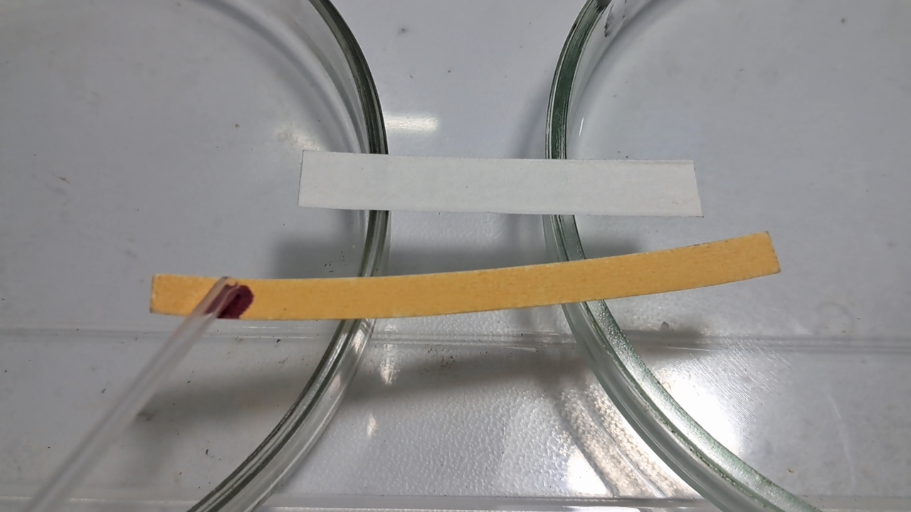 Universal Indicator, Phenolphthalein, Concentrated Sulfuric Acid, and Sodium Hydroxide