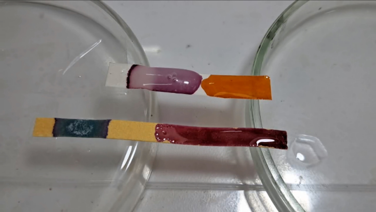 Universal Indicator, Phenolphthalein, Concentrated Sulfuric Acid, and Sodium Hydroxide