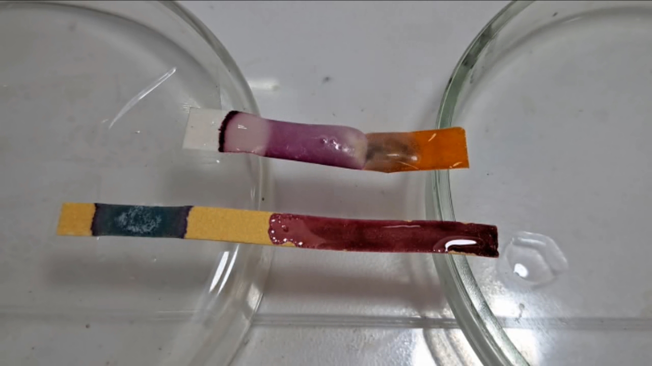 Universal Indicator, Phenolphthalein, Concentrated Sulfuric Acid, and Sodium Hydroxide