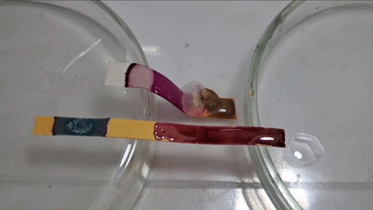 Universal Indicator, Phenolphthalein, Concentrated Sulfuric Acid, and Sodium Hydroxide