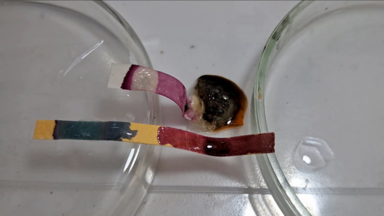 Universal Indicator, Phenolphthalein, Concentrated Sulfuric Acid, and Sodium Hydroxide