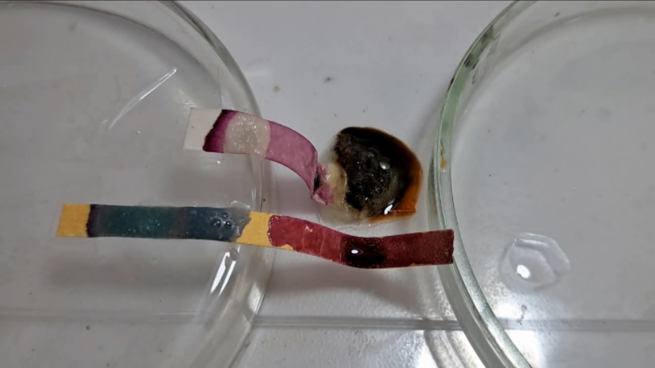 Universal Indicator, Phenolphthalein, Concentrated Sulfuric Acid, and Sodium Hydroxide