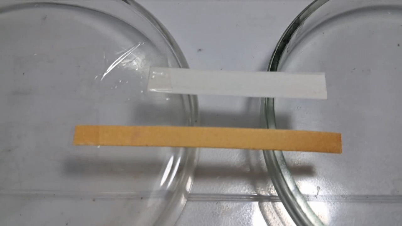 Universal Indicator, Phenolphthalein, Concentrated Sulfuric Acid, and Sodium Hydroxide