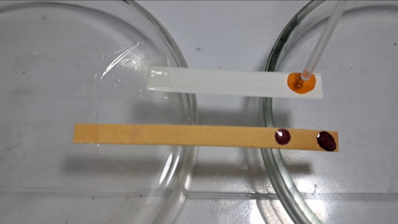 Universal Indicator, Phenolphthalein, Concentrated Sulfuric Acid, and Sodium Hydroxide