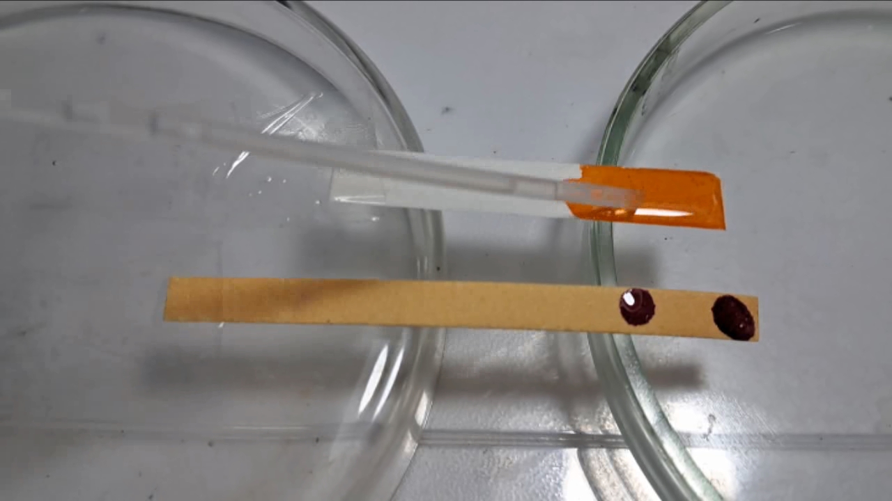 Universal Indicator, Phenolphthalein, Concentrated Sulfuric Acid, and Sodium Hydroxide