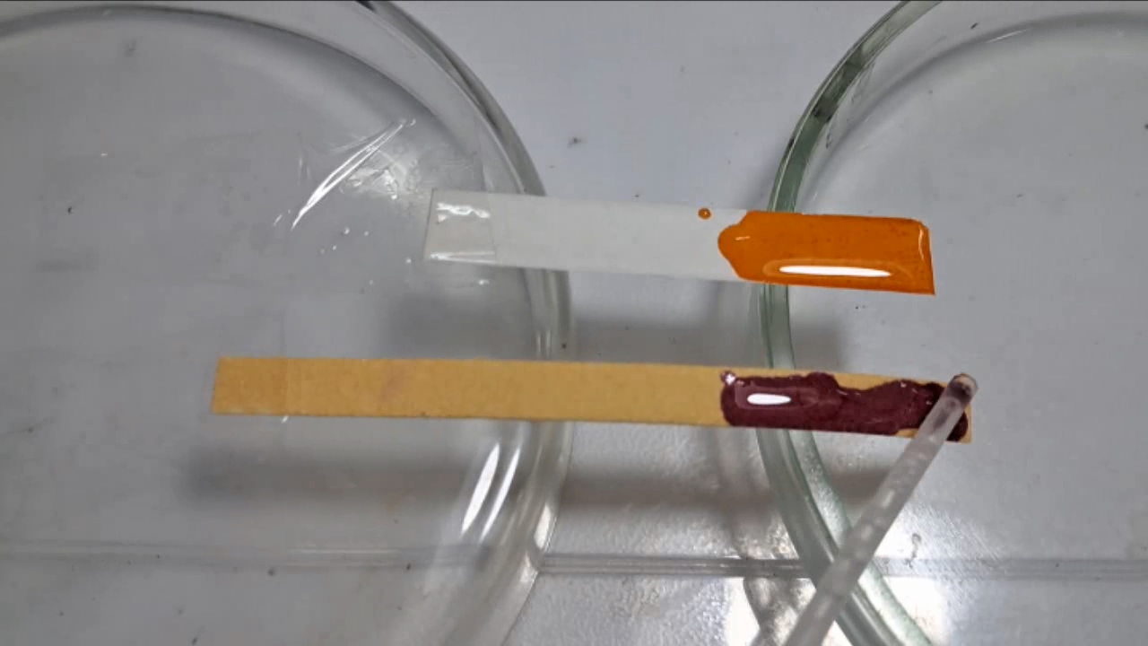 Universal Indicator, Phenolphthalein, Concentrated Sulfuric Acid, and Sodium Hydroxide