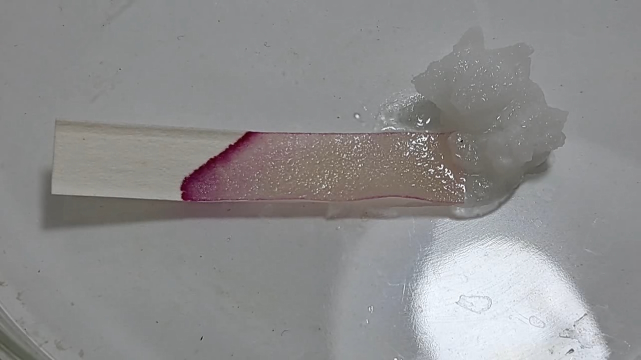 Universal Indicator, Phenolphthalein, and Sodium Hydroxide