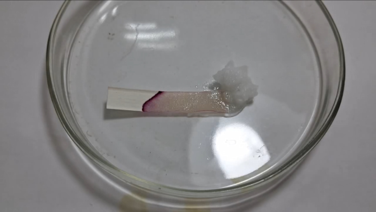 Universal Indicator, Phenolphthalein, and Sodium Hydroxide