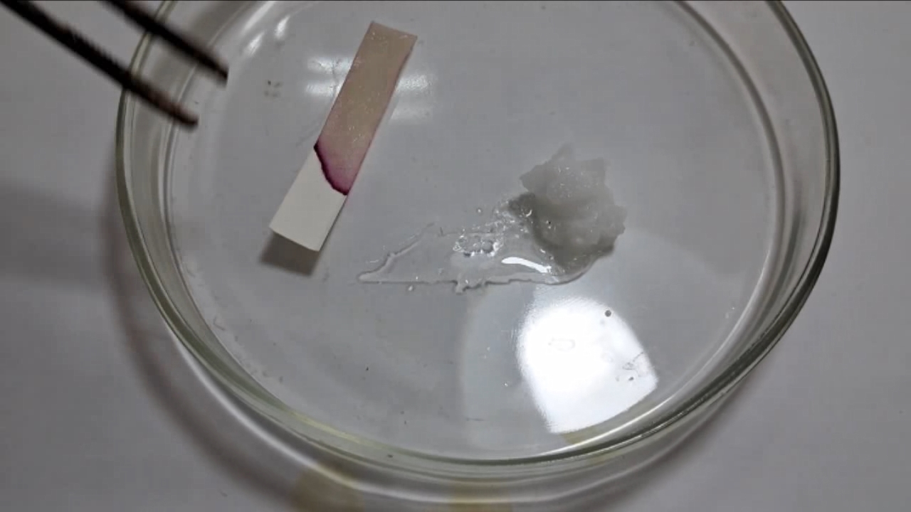 Universal Indicator, Phenolphthalein, and Sodium Hydroxide