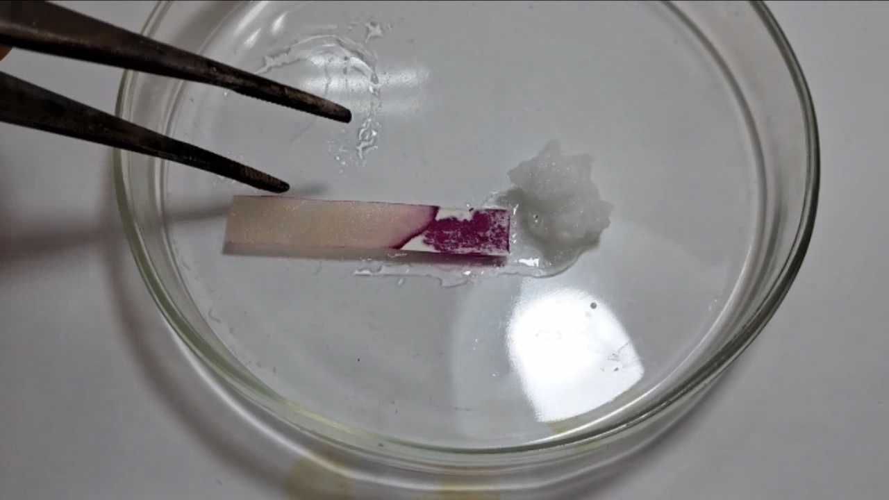 Universal Indicator, Phenolphthalein, and Sodium Hydroxide