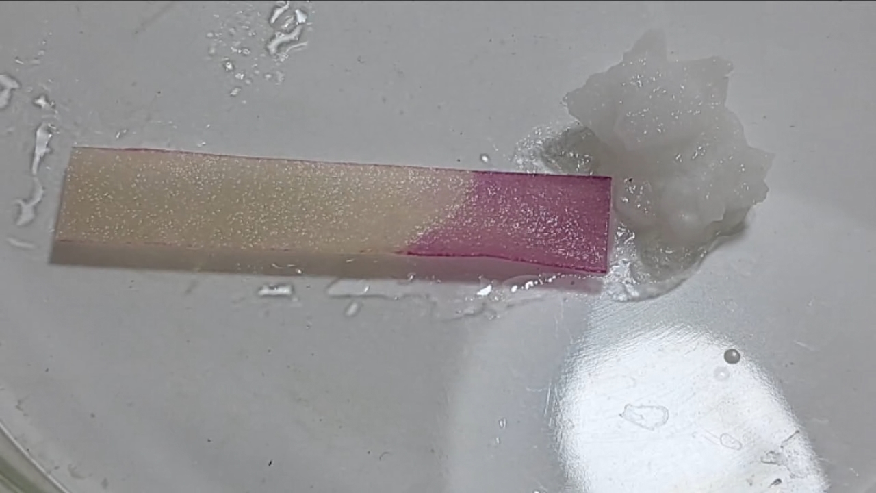 Universal Indicator, Phenolphthalein, and Sodium Hydroxide