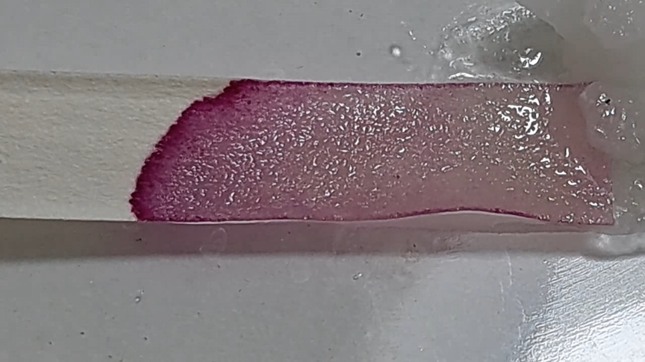 Universal Indicator, Phenolphthalein, and Sodium Hydroxide