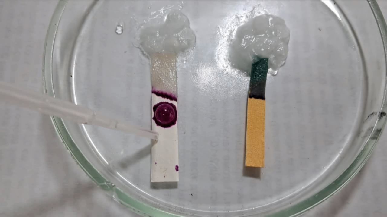 Universal Indicator, Phenolphthalein, and Sodium Hydroxide