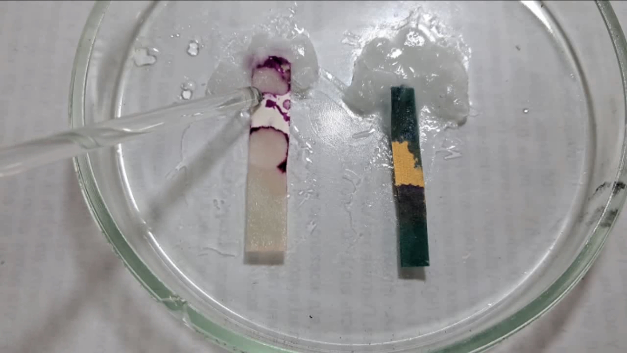 Universal Indicator, Phenolphthalein, and Sodium Hydroxide