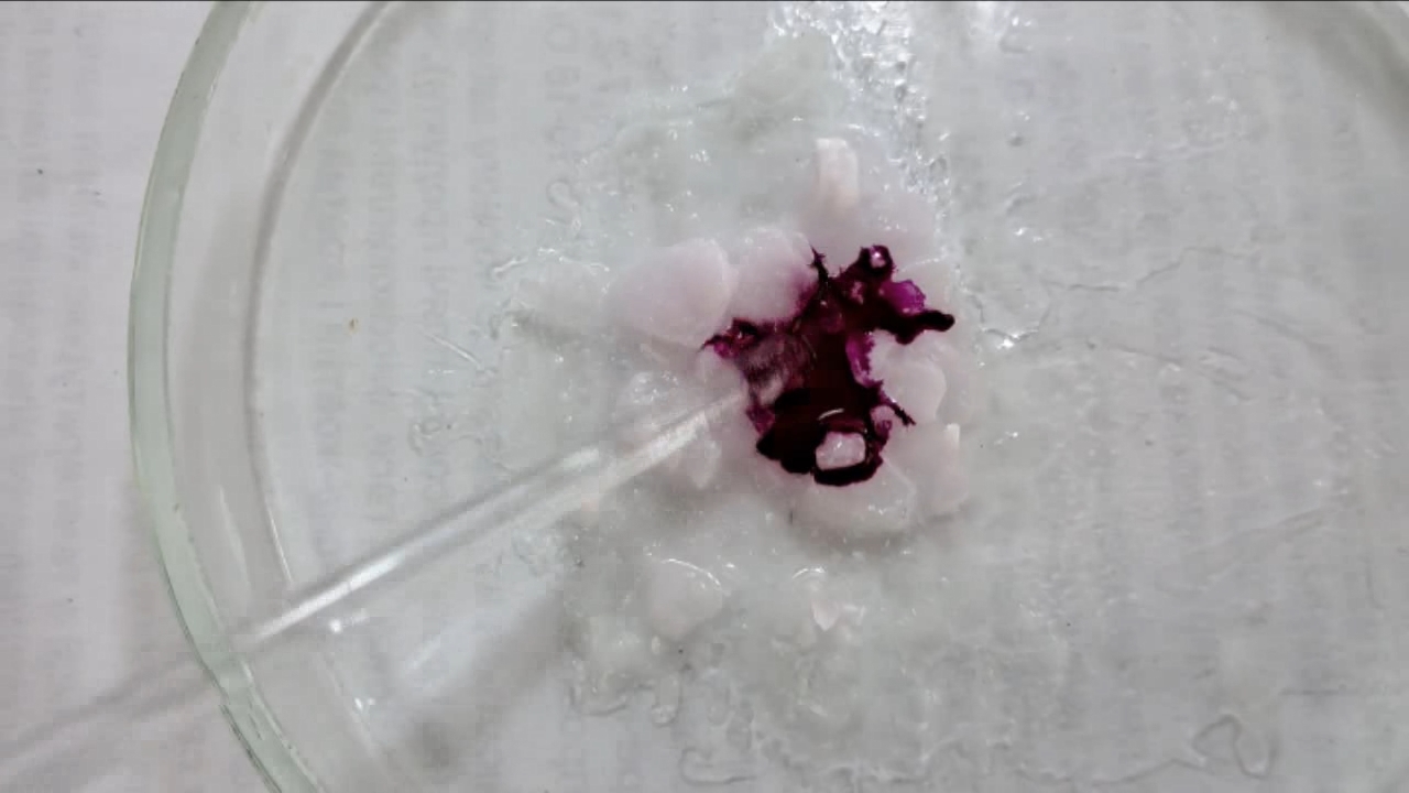 Phenolphthalein Turns Fuchsia When Acid Is Added