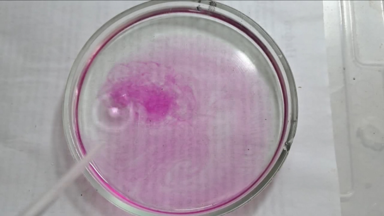 Phenolphthalein Turns Fuchsia When Acid Is Added