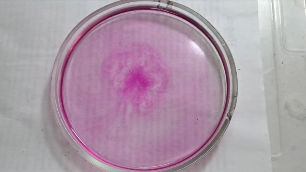 Phenolphthalein Turns Fuchsia When Acid Is Added