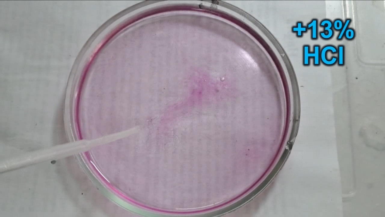 Phenolphthalein Turns Fuchsia When Acid Is Added