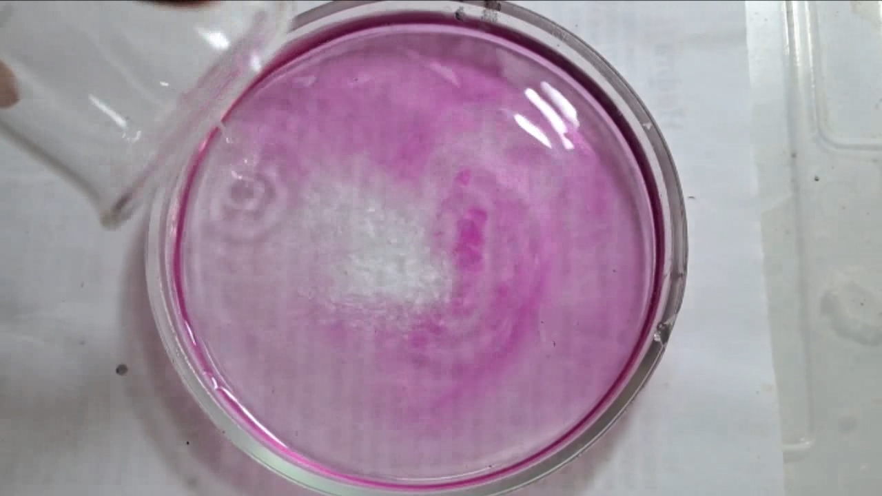 Phenolphthalein Turns Fuchsia When Acid Is Added