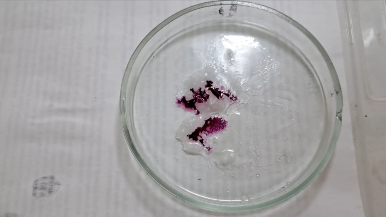 Phenolphthalein Turns Fuchsia When Acid Is Added