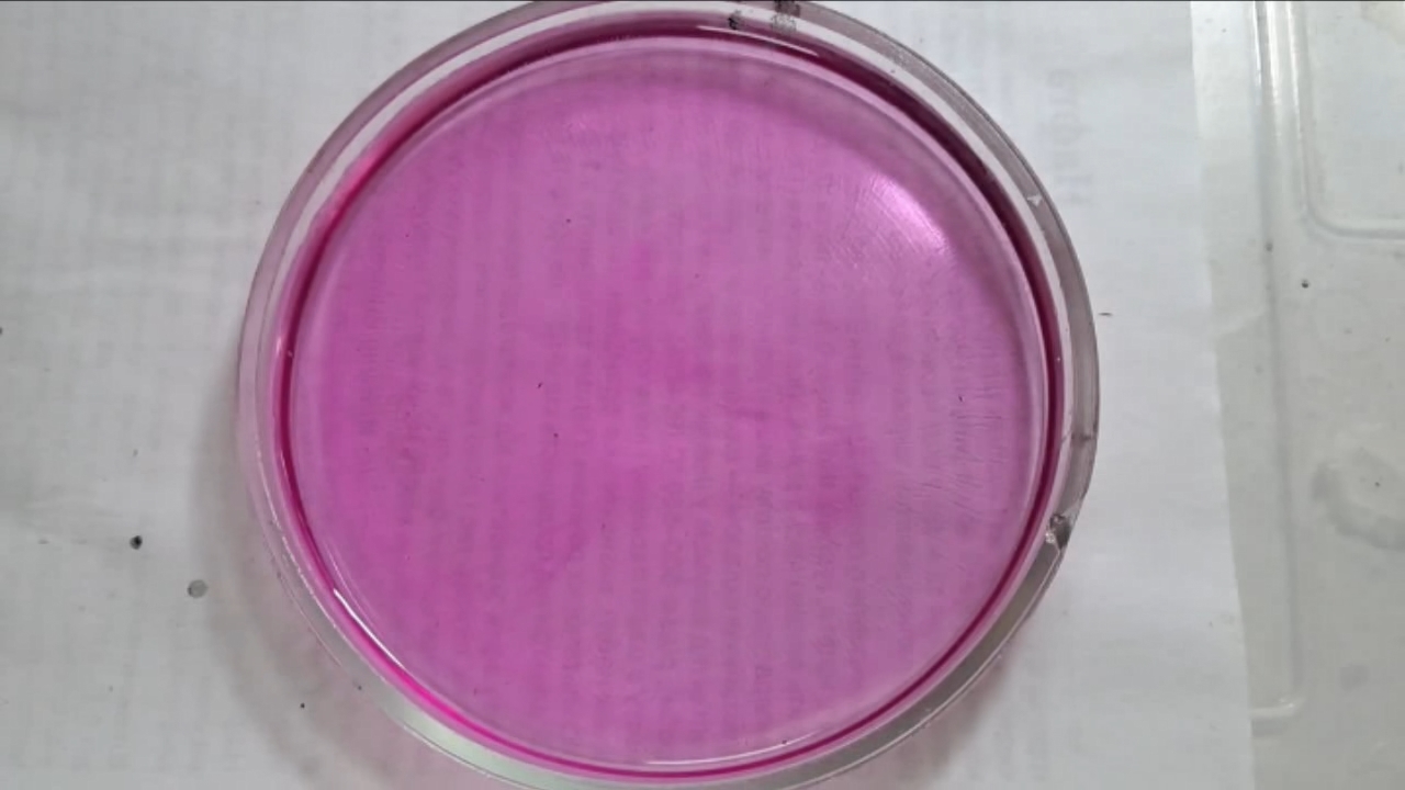 Phenolphthalein Turns Fuchsia When Acid Is Added