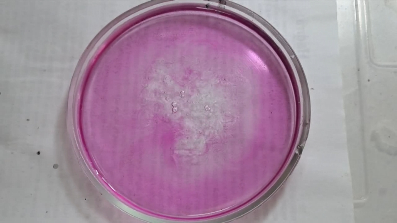 Phenolphthalein Turns Fuchsia When Acid Is Added