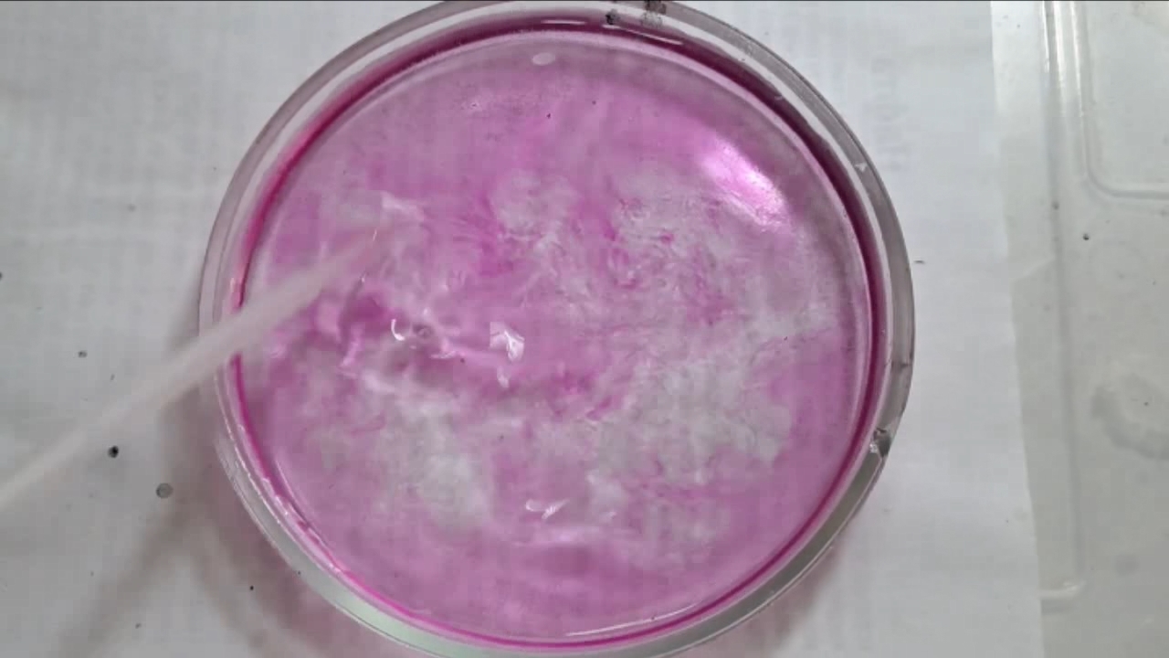 Phenolphthalein Turns Fuchsia When Acid Is Added