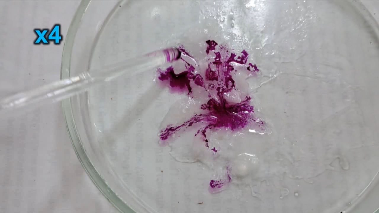 Phenolphthalein Turns Fuchsia When Acid Is Added