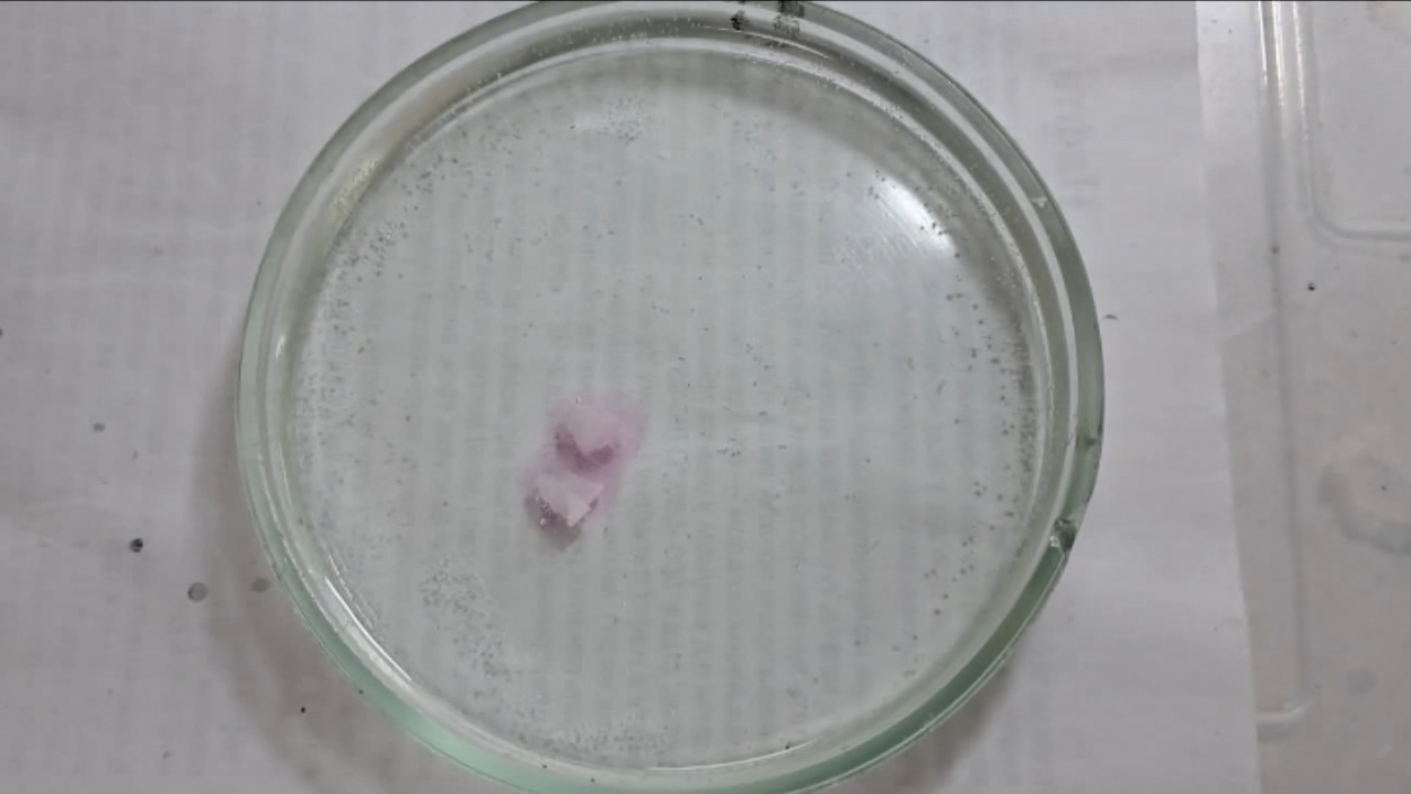 Phenolphthalein Turns Fuchsia When Acid Is Added