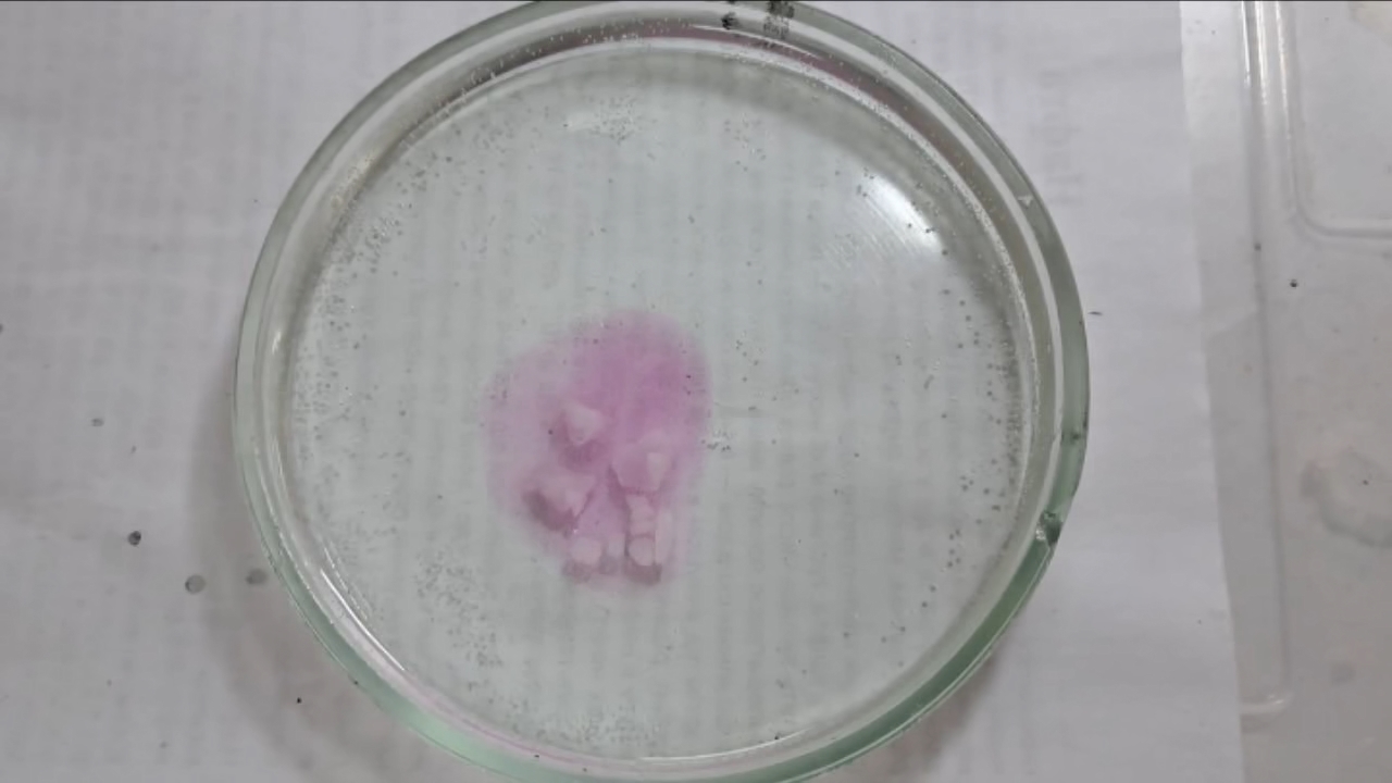 Phenolphthalein Turns Fuchsia When Acid Is Added