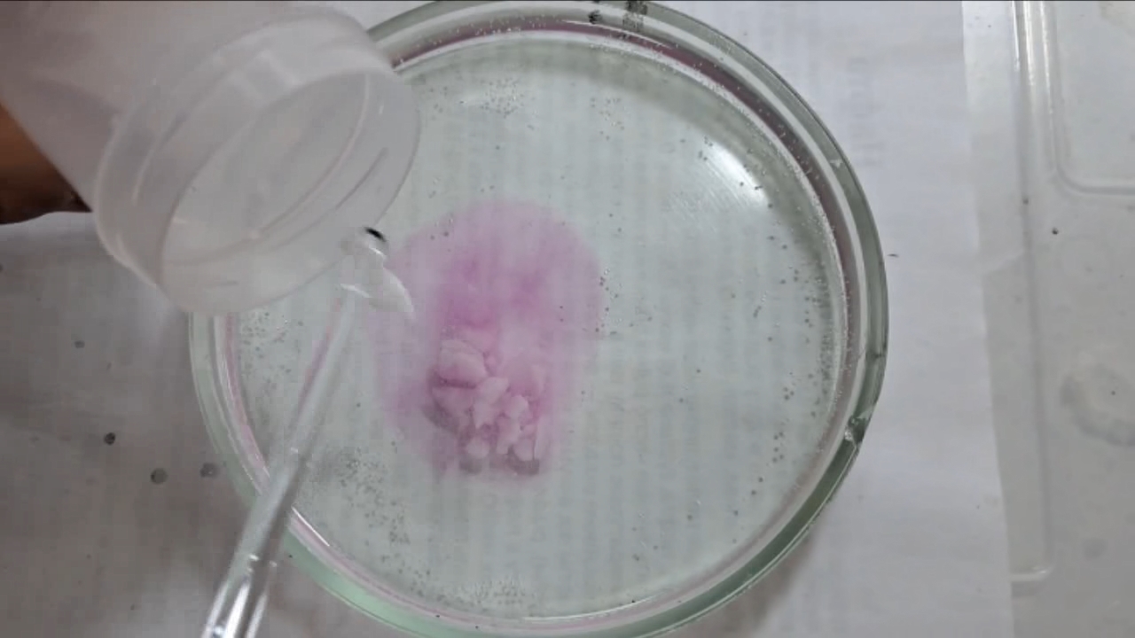 Phenolphthalein Turns Fuchsia When Acid Is Added