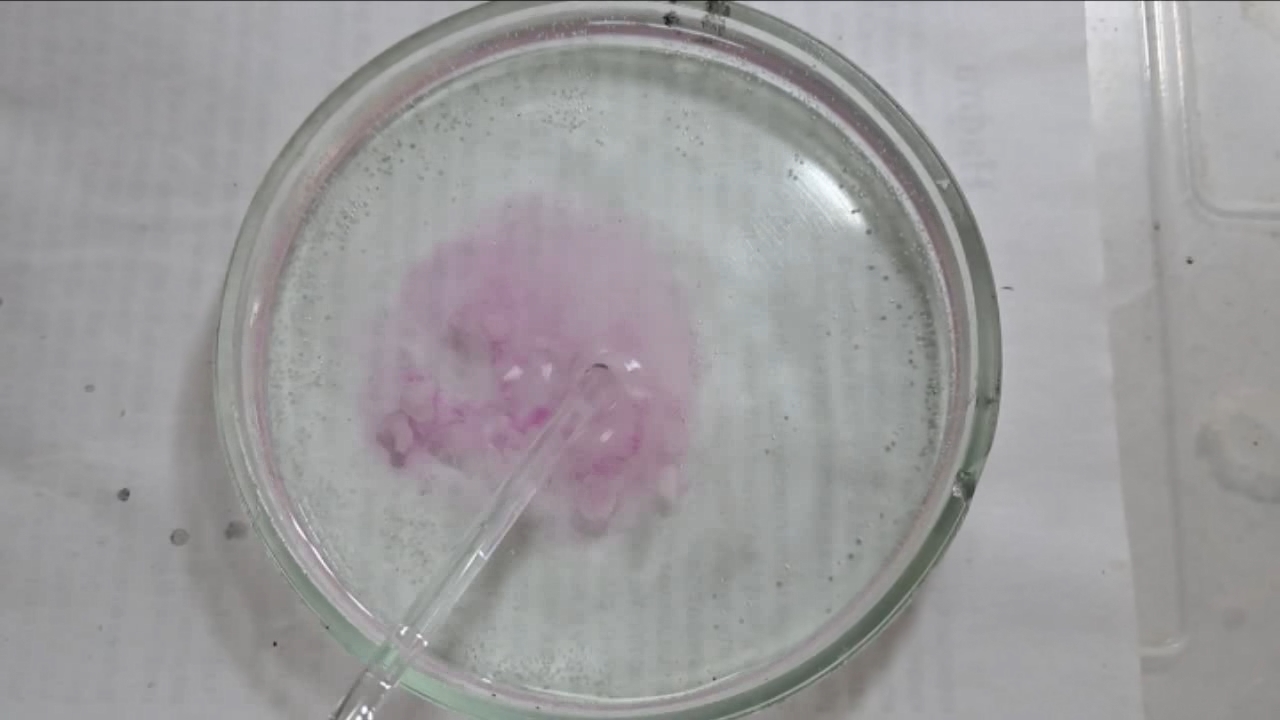 Phenolphthalein Turns Fuchsia When Acid Is Added