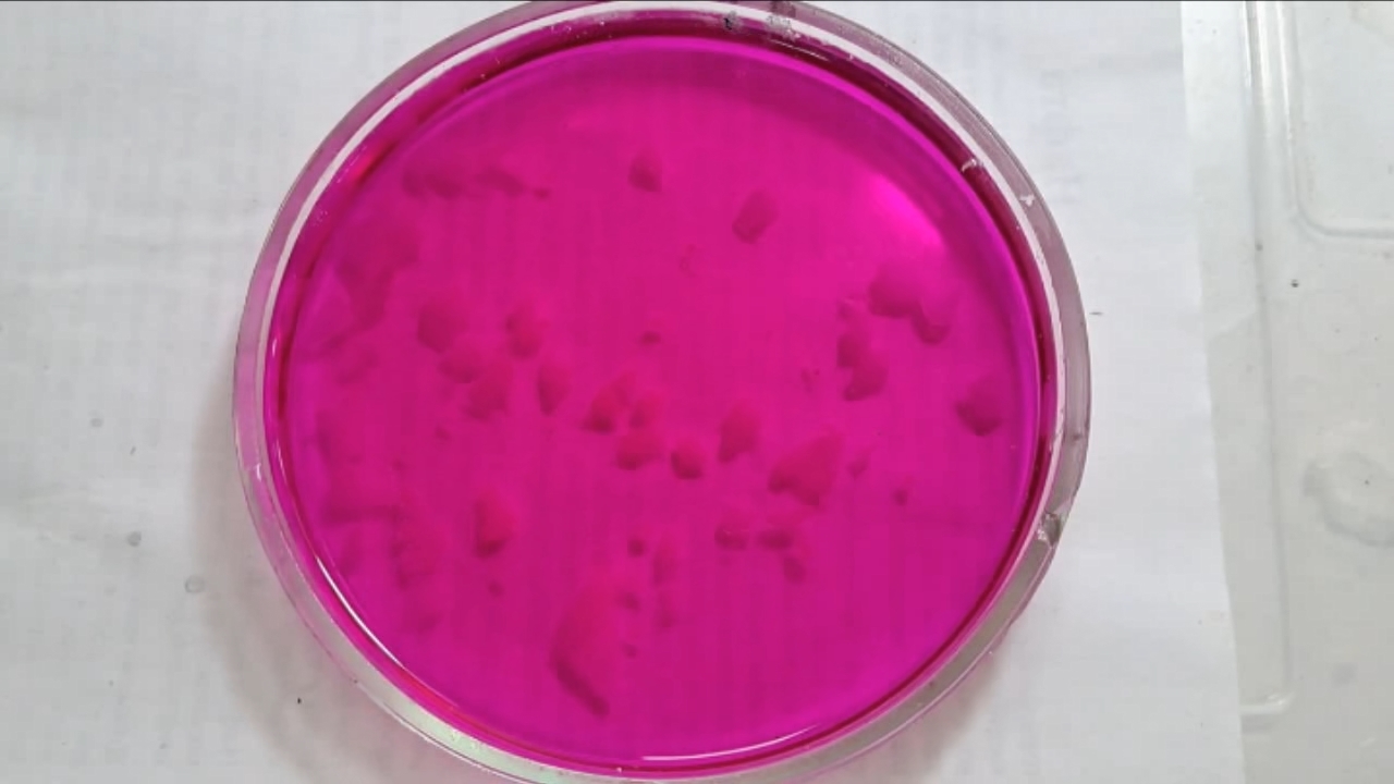 Phenolphthalein Turns Fuchsia When Acid Is Added