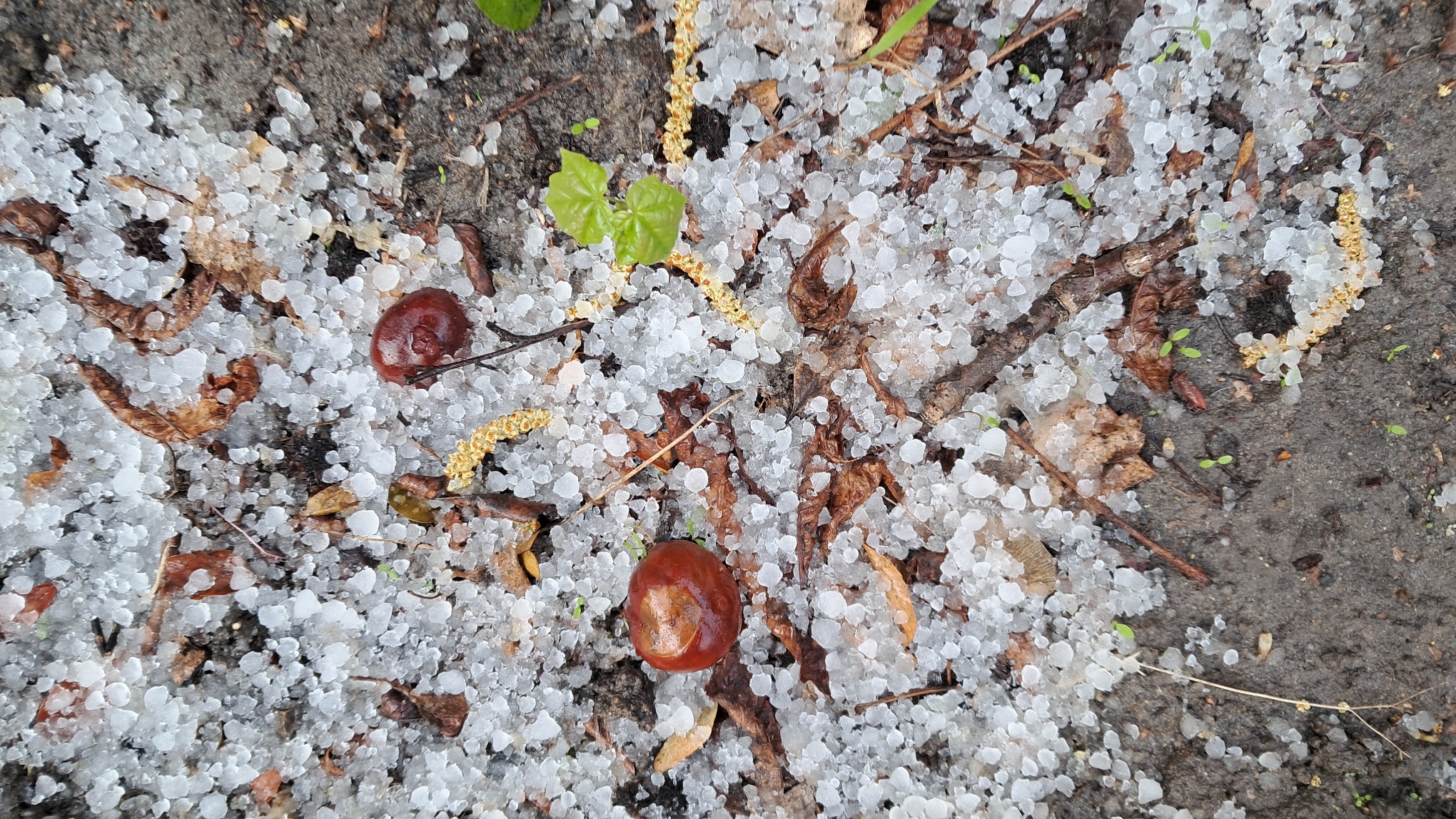 hailstones