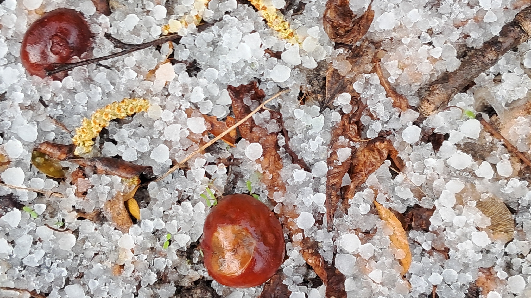 hailstones