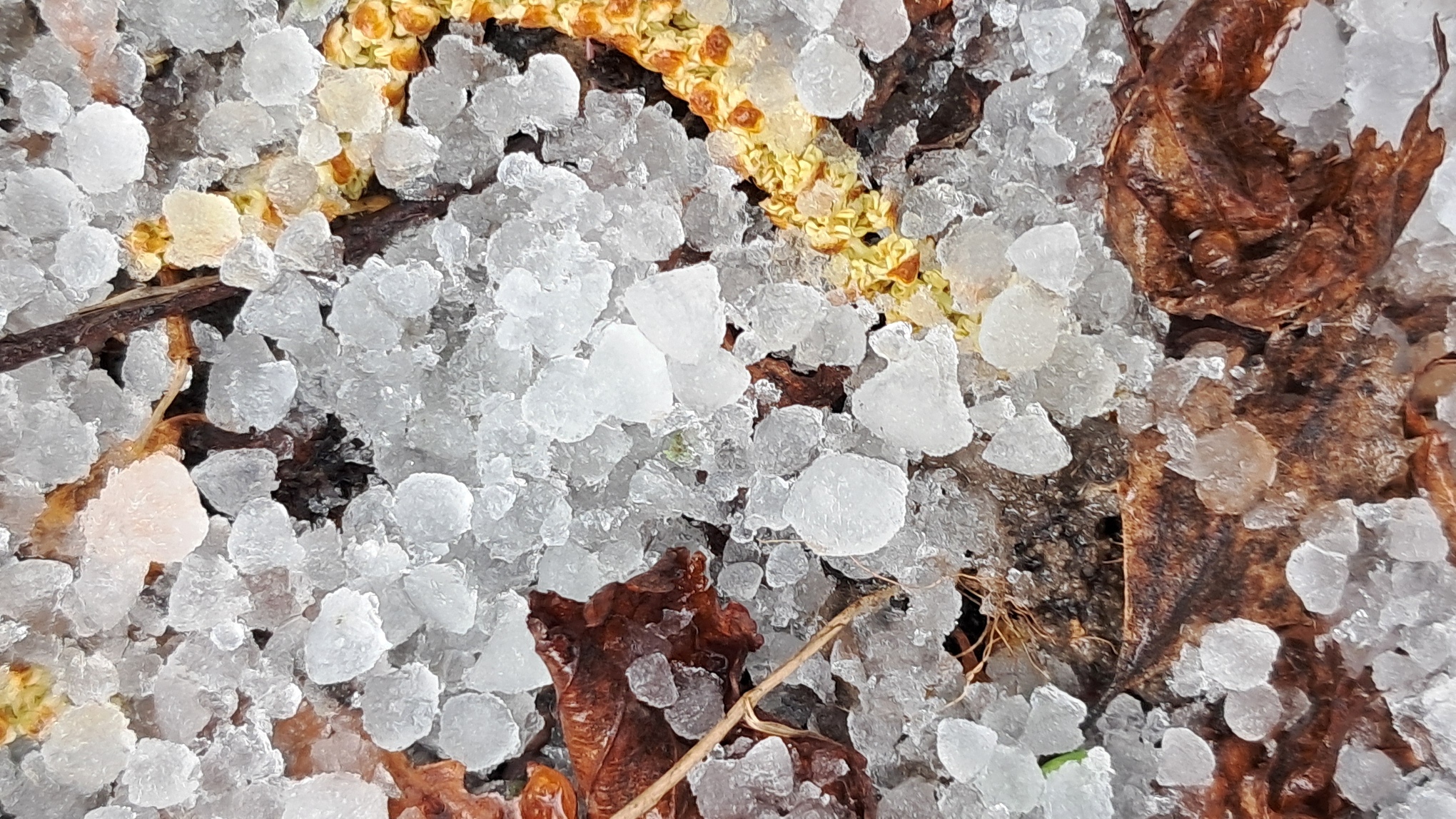 hailstones